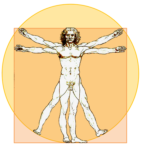 File:20080913135244!Vitruvian-Icon.png