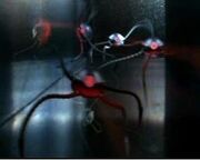 Metal spiders2