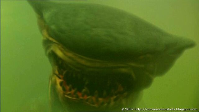 File:Hammerhead13.jpg