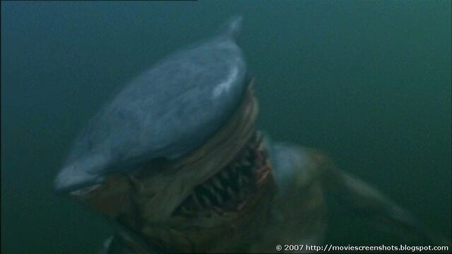 File:Hammerhead0.jpg