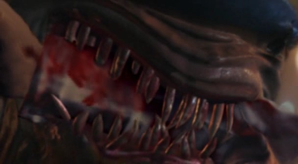File:Hammerhead5.jpg