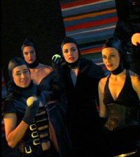 Litigarans