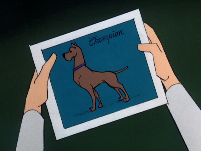 File:Bob Miller's dog.png