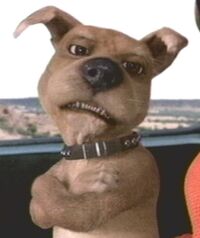 Scrappy-Doo.jpg
