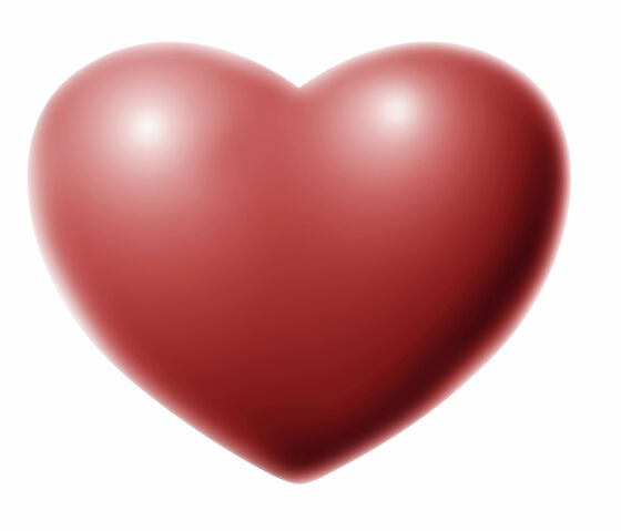 File:Heart2.jpg