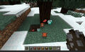 Thumbnail for version as of 17:37, April 22, 2012