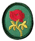 File:CrestRedRose.jpg
