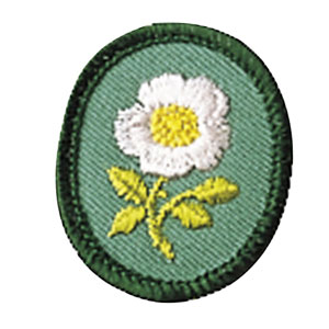 File:CrestWildRose.jpg
