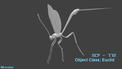 5.12.12-SCP-772.png