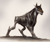 Cyberdog