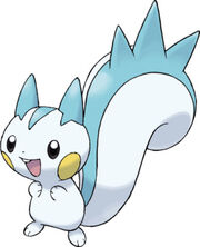 Pachirisu2