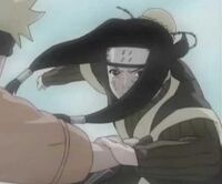 Haku