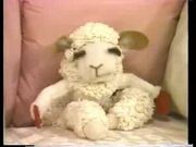 Lamb Chop Preview