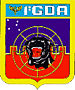 1gdaair wing badge