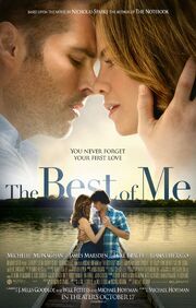 2014 - The Best of Me Movie Poster