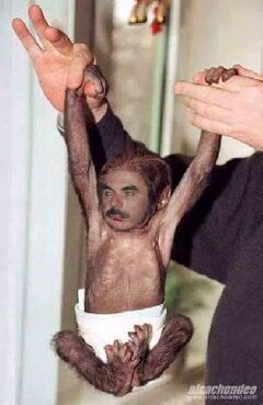 Nodnacido
