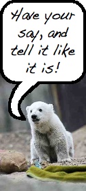 Knut-discussions