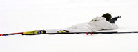 Skytter 55450a