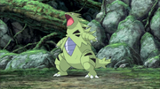 Tyranitar in the anime