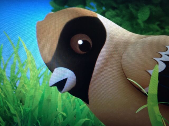 File:Brown Bird.jpg