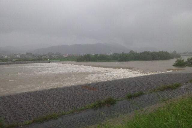 ファイル:桂川洪水 全景.jpg