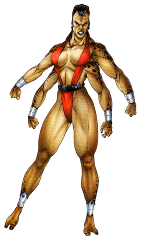 File:MK3-15 Sheeva.png