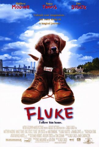 File:1995 - Fluke.jpg