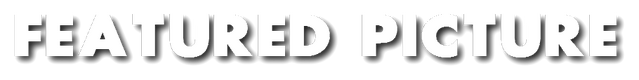File:FEATURED PIC.png