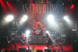 Asilaydying3