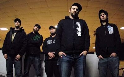 Theacaciastrain8