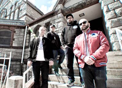 Theacaciastrain1