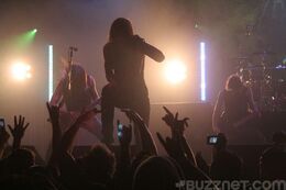 Asilaydying6