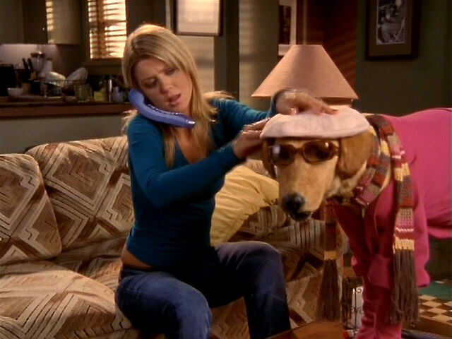 File:3x11 Danni Rowdy.jpg