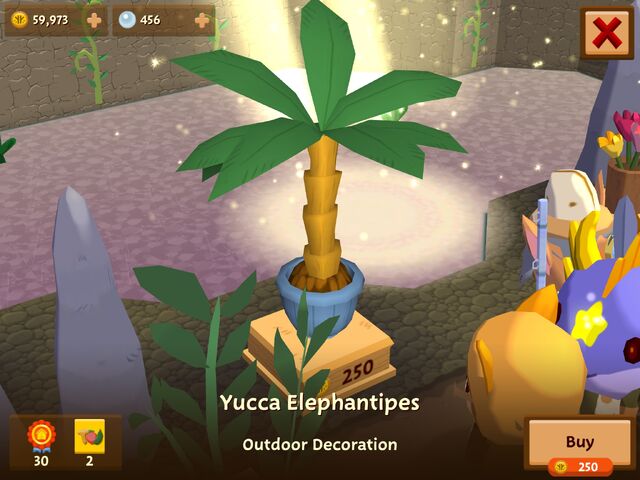 File:YuccaElephantipes.jpeg