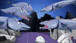 Barracudas