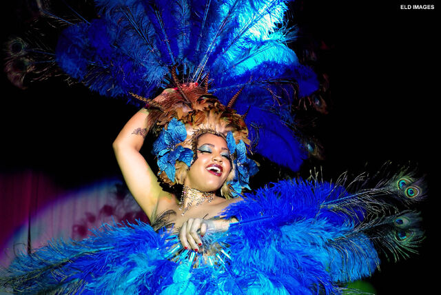 File:Peacock ELD Heavens show.jpg