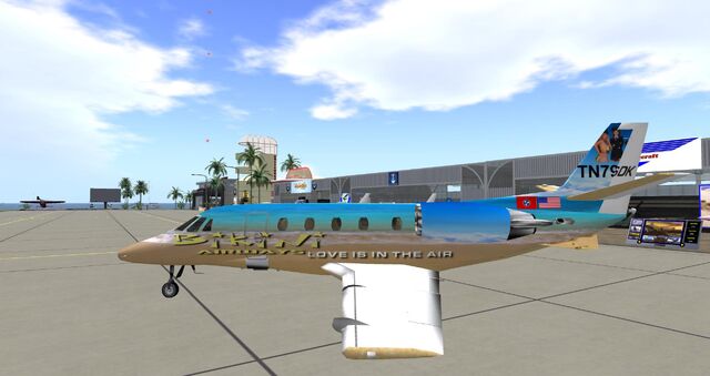 File:Bikini Airways 002.jpg
