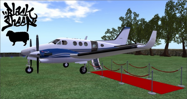File:Black Sheep Commuter Air.png
