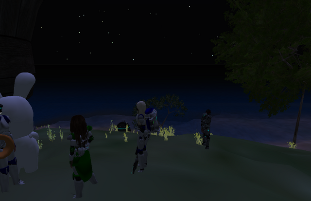 File:ASR troops.png