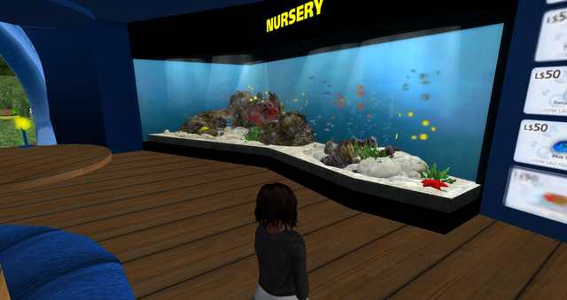 File:Snapshot 039.png