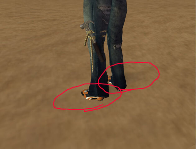 ファイル:Avatar foot1.jpg
