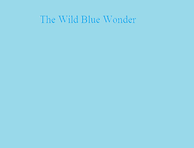 File:The Wild Blue Wonder.png