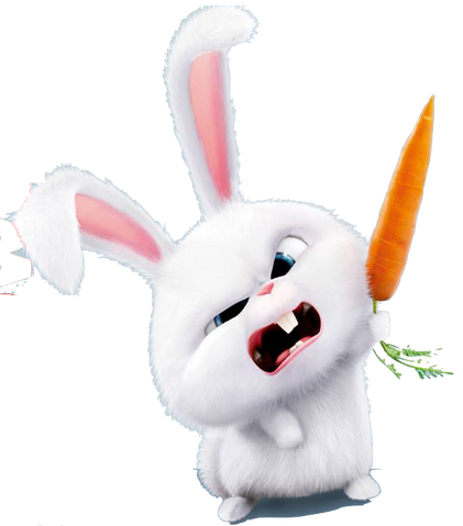 File:Snowball's carrot.png