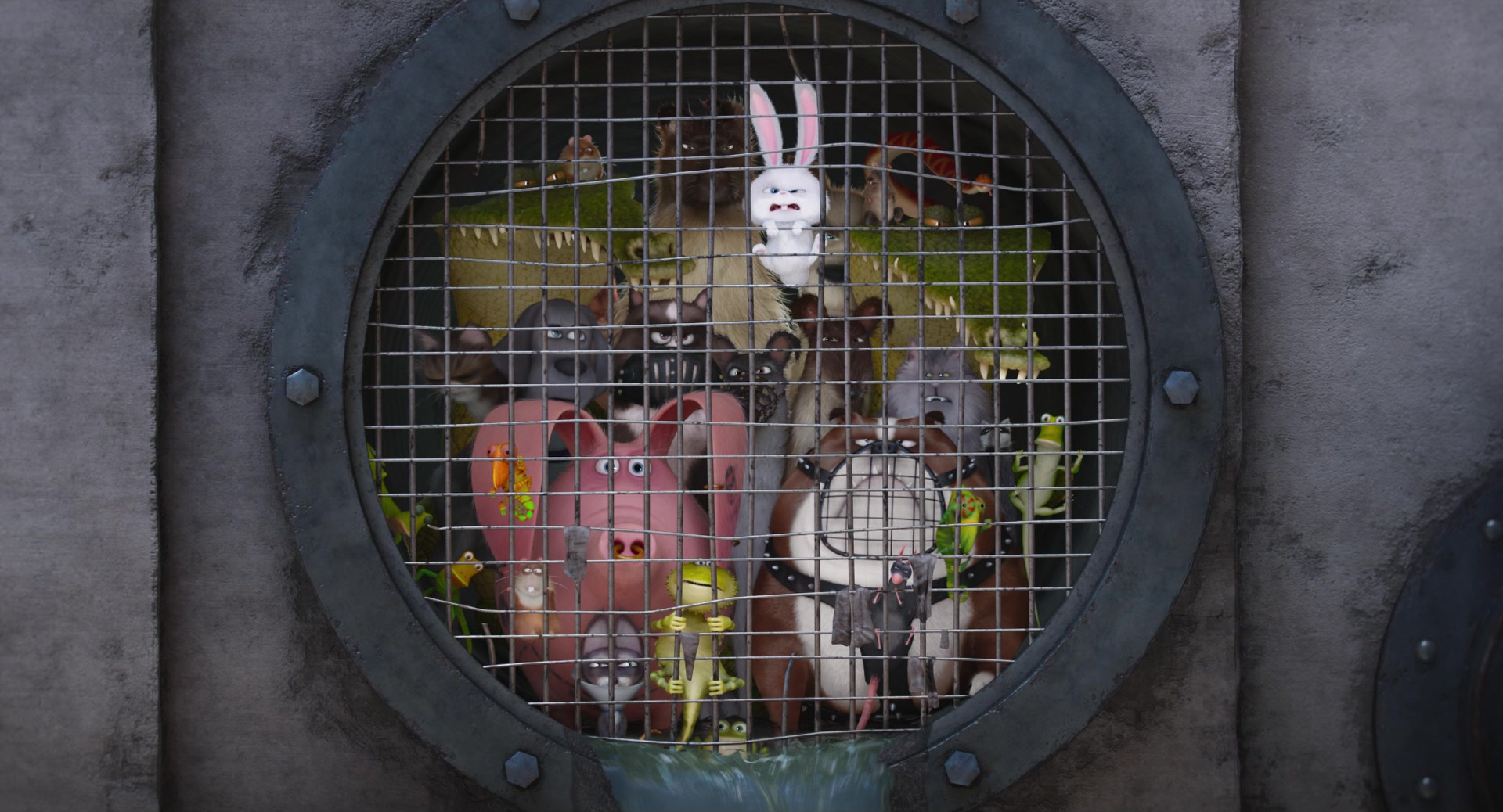 secret of life of pets