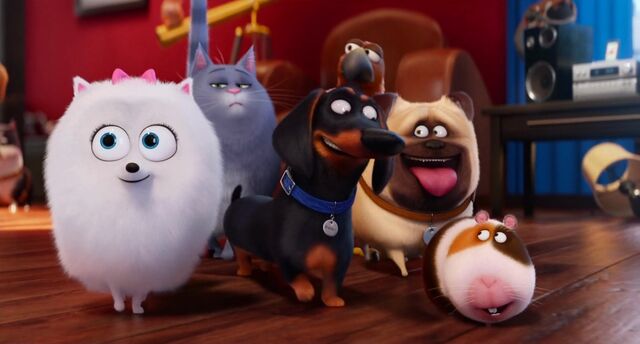 File:Pets in Pops place.jpeg