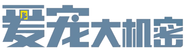 File:Pets standard mandarin.png