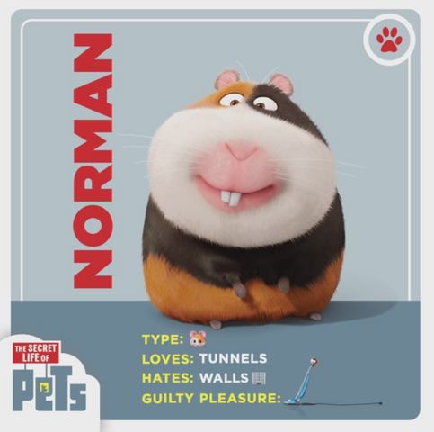 File:Norman card.png