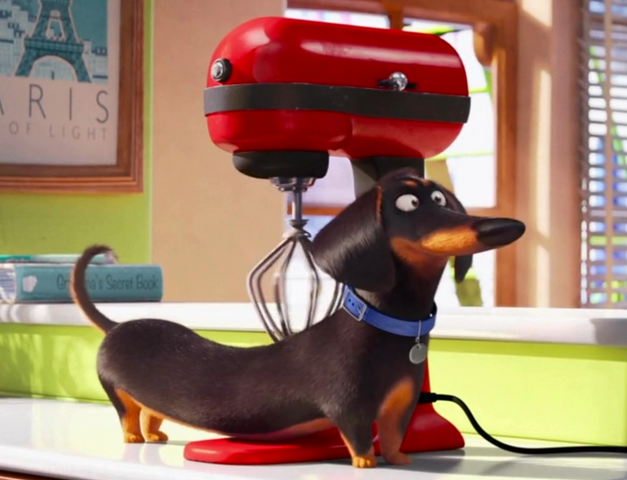 File:Buddy Infobox.png
