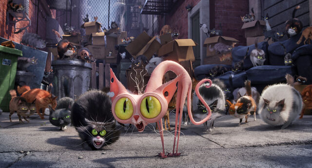 File:BOOMGERS201606200106MASCOTAS.jpg