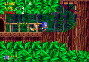 Wood zone